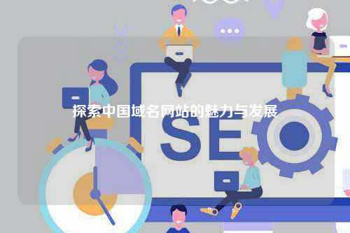 探索中国域名网站的魅力与发展