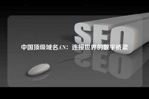 中国顶级域名.CN：连接世界的数字桥梁