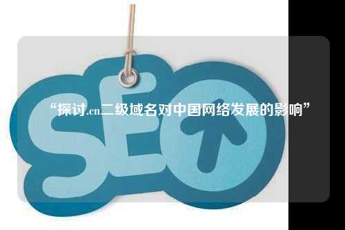 “探讨.cn二级域名对中国网络发展的影响”